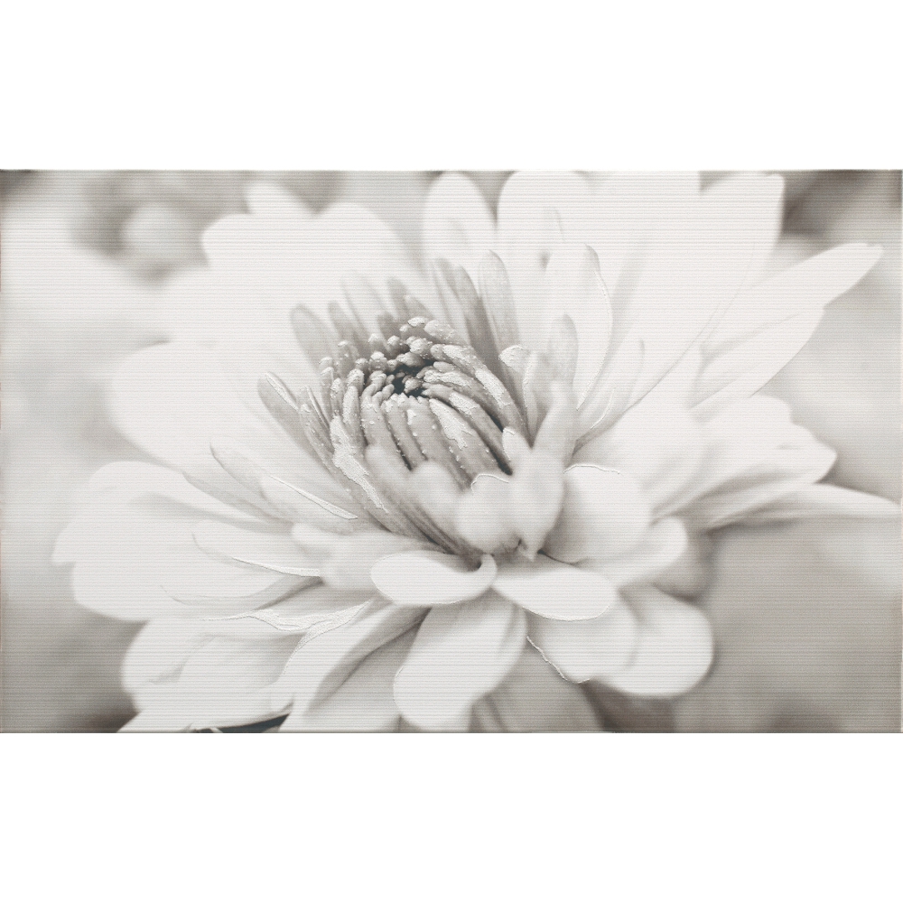 WANDFLIESE GARDA INSERTO FLOWER 25X40 CERSANIT