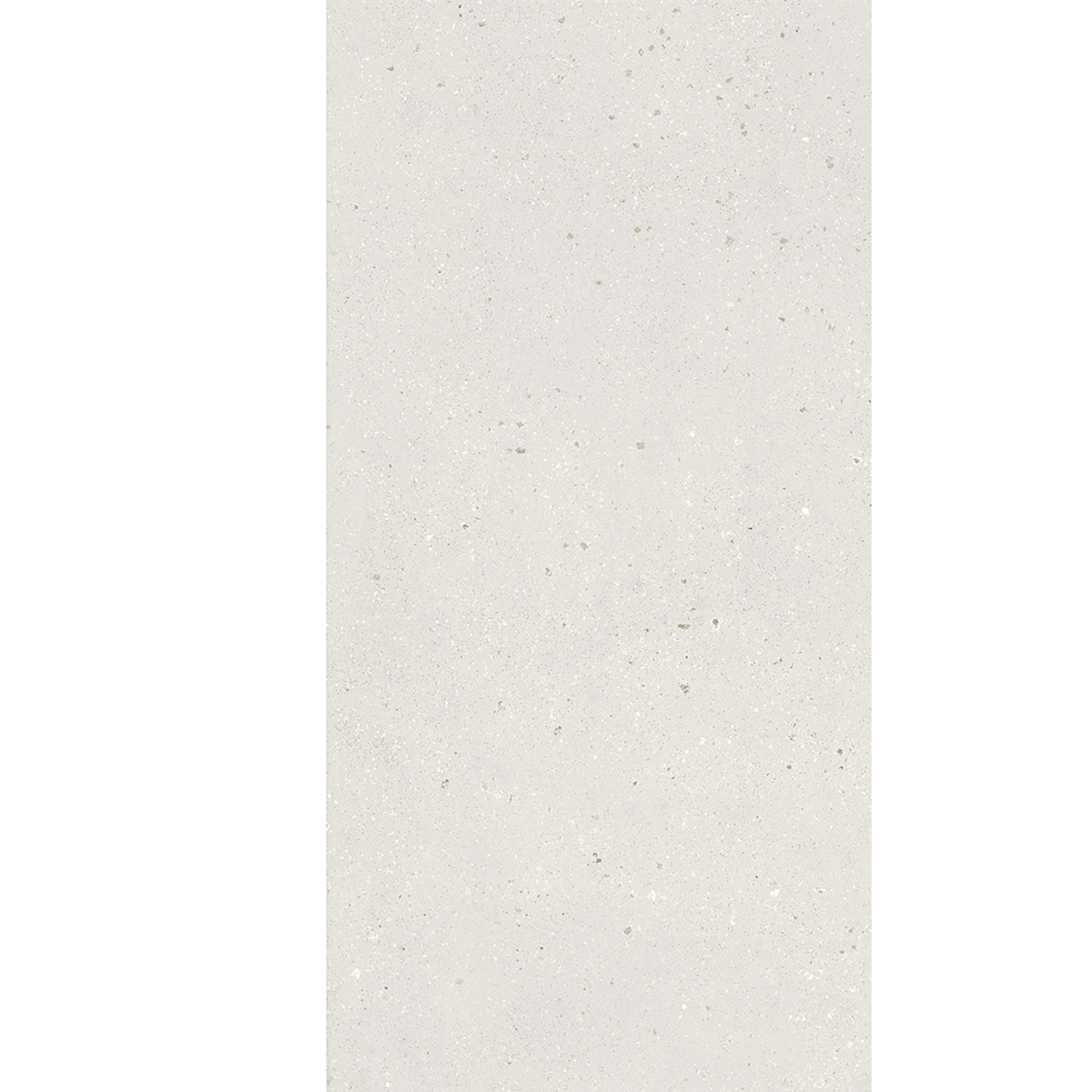 BODENFLIESE TERRAZZOOPTIK GEOLOGY ARGILLA MATT 60X120 DADO CERAMICA