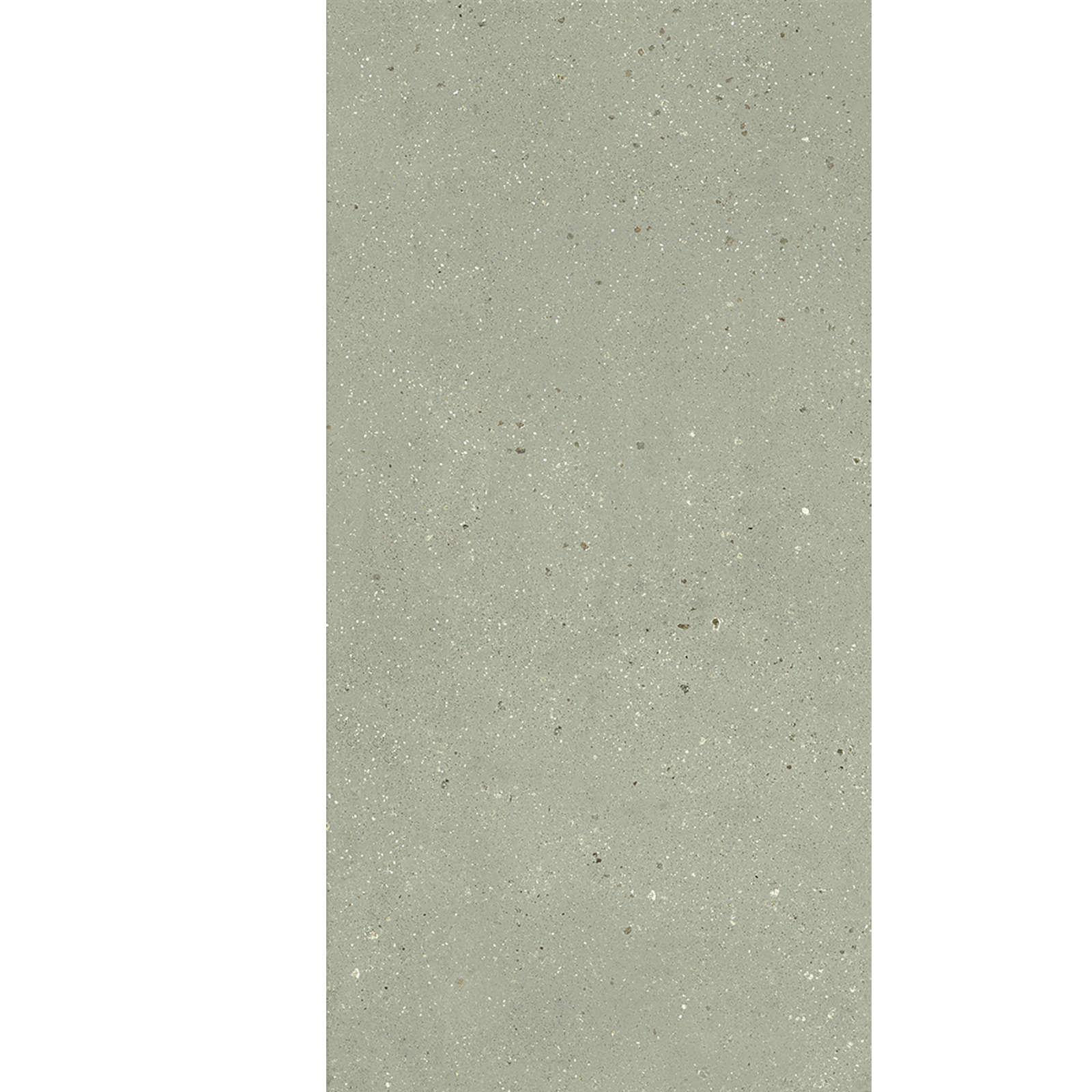BODENFLIESE TERRAZZOOPTIK GEOLOGY SALVIA MATT 60X120 DADO CERAMICA