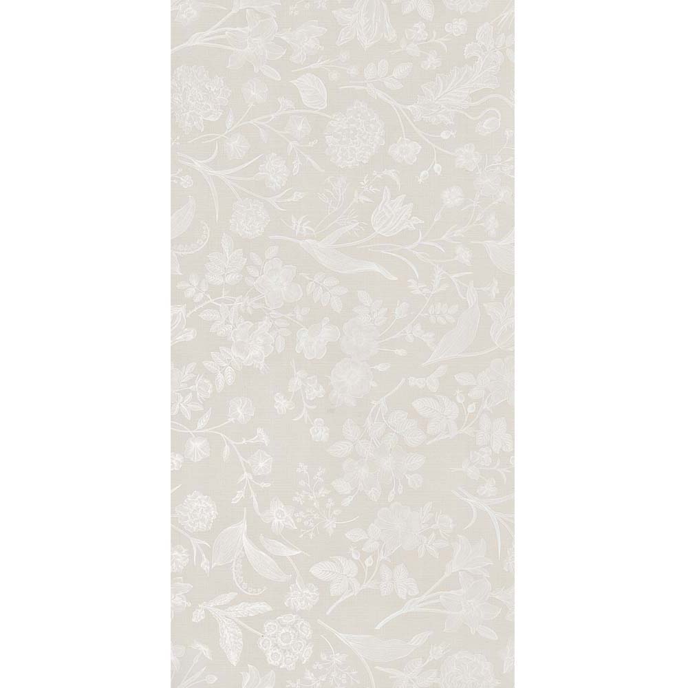 WANDFLIESE NXT PALACE MONACO GRISE MATT 60X120